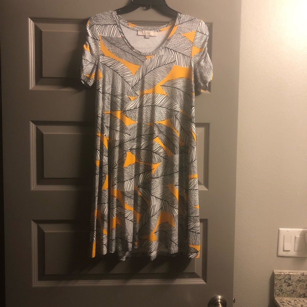 Loft Swing Dress